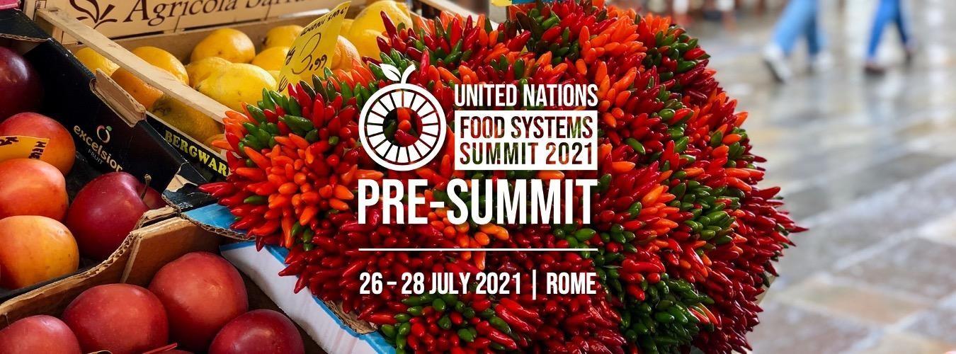 Deputy Secretary Bronaugh is leading the U.S. delegation to the UN Food System Pre-Summit in July 2021 to Rome. 