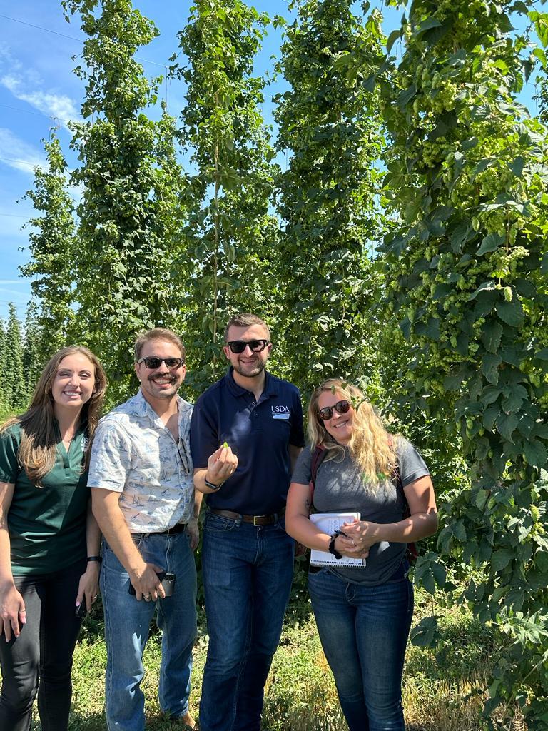 USDA employees pose in front of hops vines.