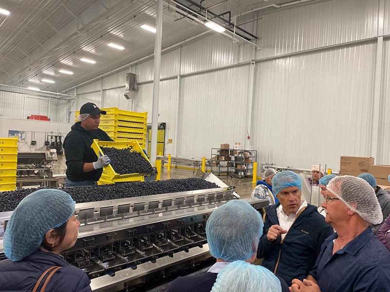 The attachés learning about on-site packaging and processing of blueberries at Panamerican Berry Growers in Salem, Oregon.