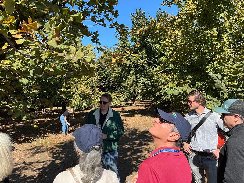 The attachés got to witness the hazelnut collection and gathering process at Miller Hazelnut Farm in Aurora, Oregon.