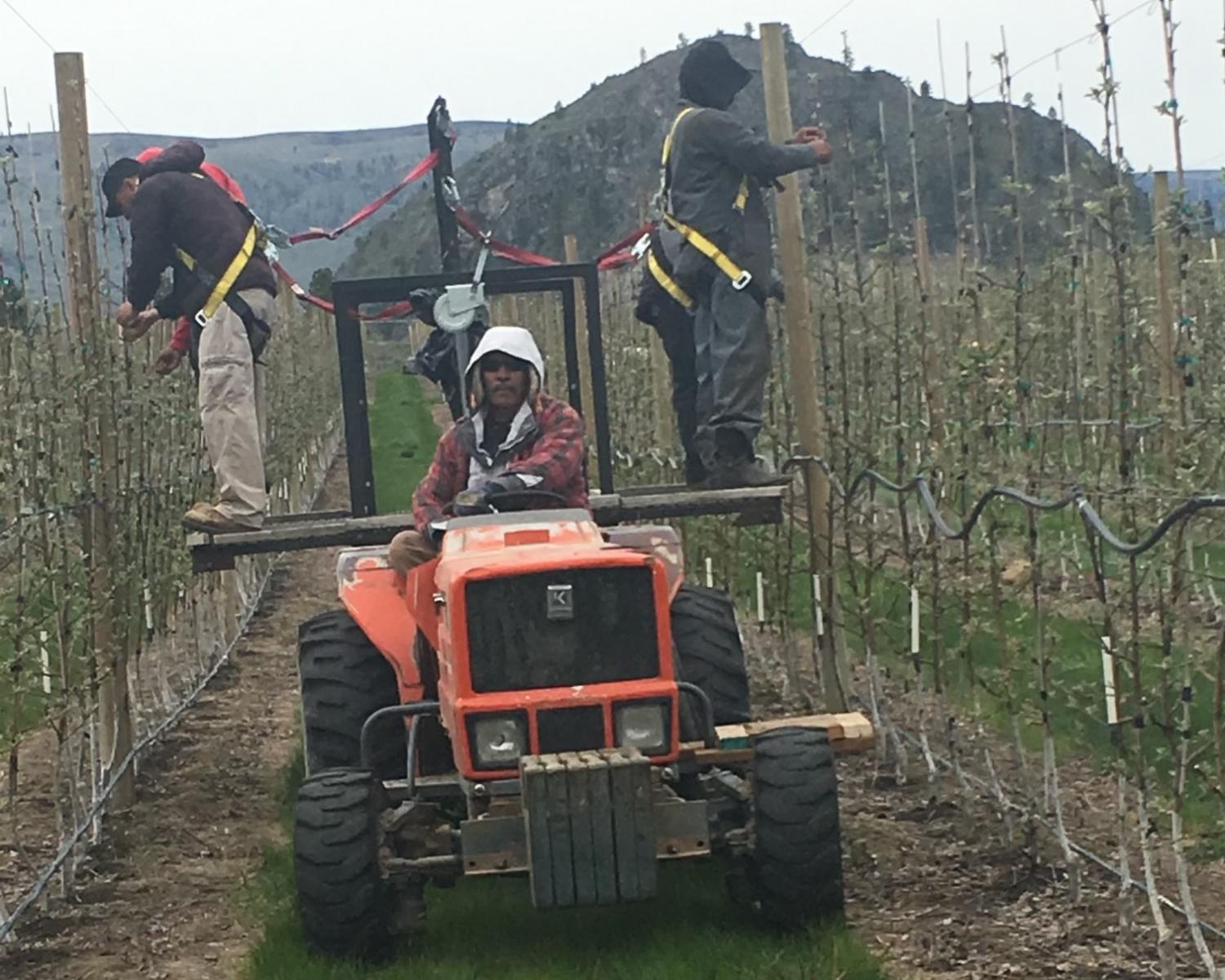 A man drives a tractor with a platform on the back of it with two men standing on top of both sides of the platform.