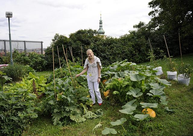 Prague’s People’s Garden Expands Beyond U.S. Embassy Grounds