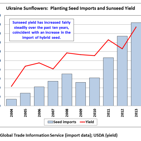 Bar chart showing that the use of hybrid planting seed for sunflowers and corn – which has driven a significant increase in yield for both crops – is not expected to decrease significantly from last year