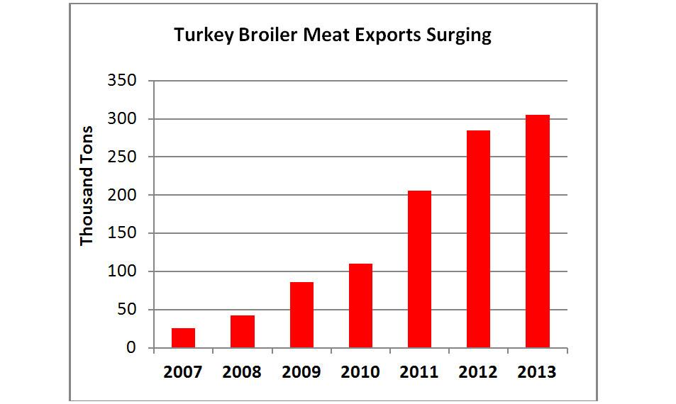 Bar chart showing the surge of Turkish broiler meat exports from 25 thousand tons in 2007 to over 300 thousands tons in 2013