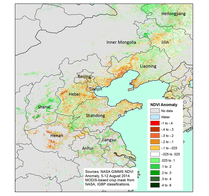 This image shows the impact of this summer’s below-normal rainfall on crop conditions in northern China (green=better than average, brown = worse than average).