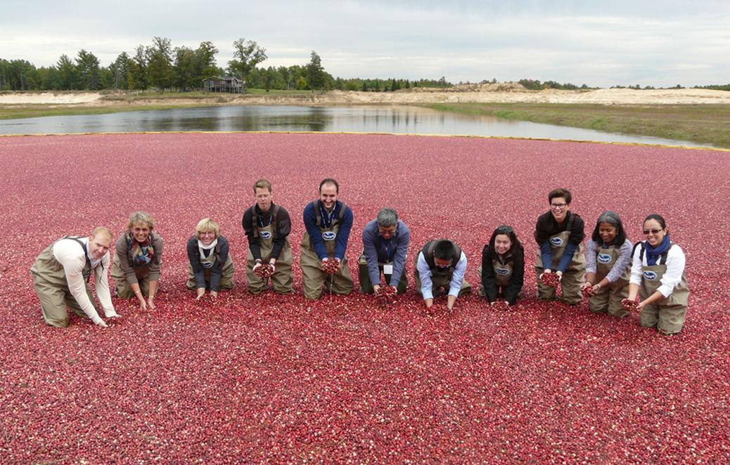 Attaches tour Wisconsin cranberries