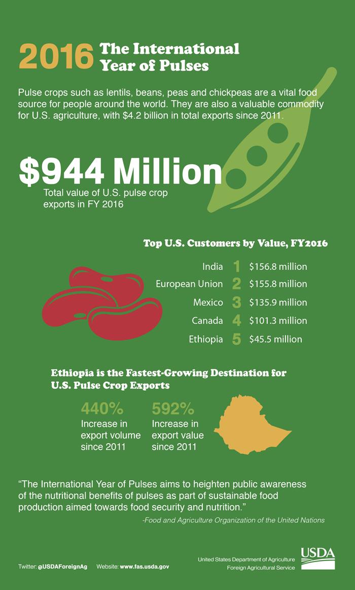 Infographic discussing pulse crops role in sustainable food production and food security, as well as their contributing $944 million to total U.S. ag exports in 2016. 