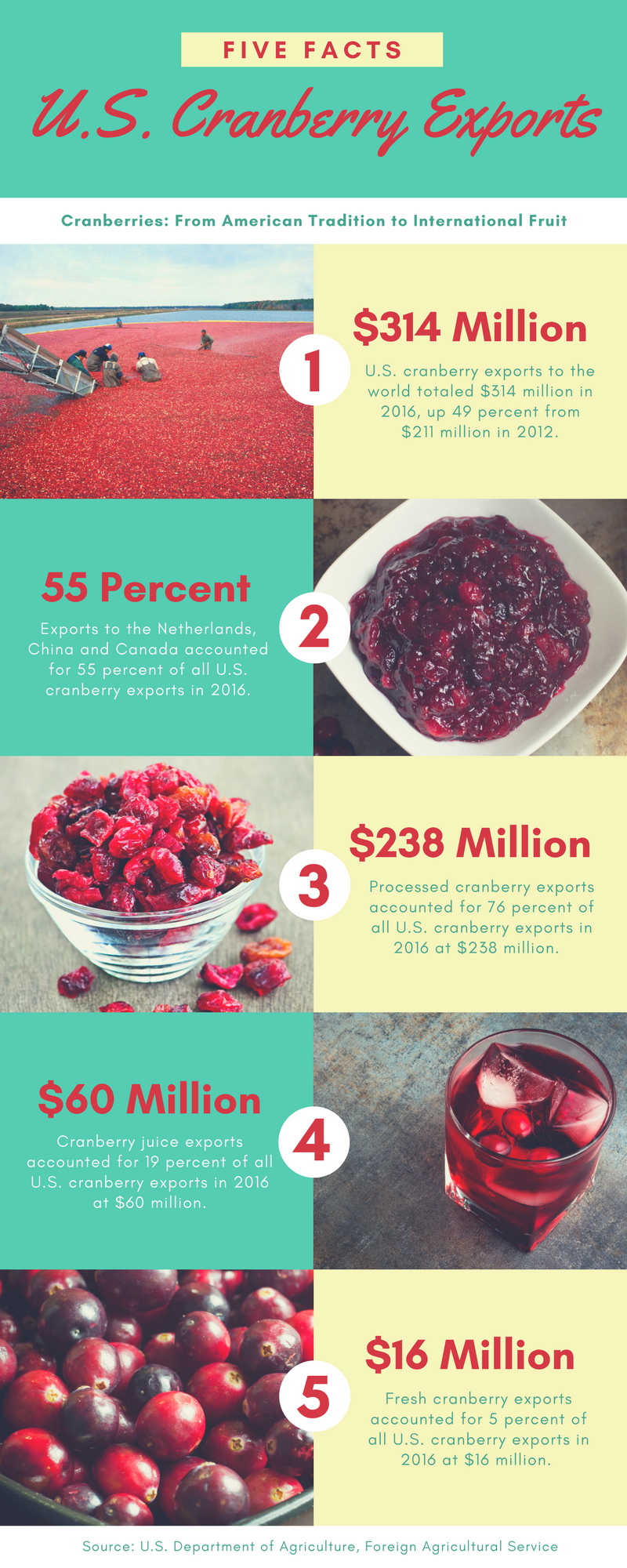 Graphic showing 5 key facts about U.S. cranberry exports which reached $314 million in 2016. 